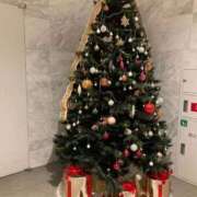 甘美 ゆうな ♡ お礼日記 ♡ RANUNCULUS(ラナンキュラス)