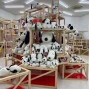 甘美 ゆうな スヌーピーってほんとにかわいい🐾 RANUNCULUS(ラナンキュラス)