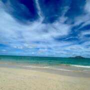 ヒメ日記 2025/05/03 08:05 投稿 益森 きずな RANUNCULUS(ラナンキュラス)