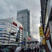 ヒメ日記 2025/09/17 09:55 投稿 相原 かすみ RANUNCULUS(ラナンキュラス)