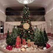 ヒメ日記 2025/12/04 13:25 投稿 相原 かすみ RANUNCULUS(ラナンキュラス)