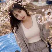 辰巳 るい 春といえば🌸🍶 RANUNCULUS(ラナンキュラス)