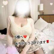 ヒメ日記 2025/04/28 17:25 投稿 久野 あやか RANUNCULUS(ラナンキュラス)