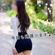 ヒメ日記 2025/05/13 13:35 投稿 久野 あやか RANUNCULUS(ラナンキュラス)