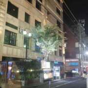 ヒメ日記 2025/07/28 02:45 投稿 久野 あやか RANUNCULUS(ラナンキュラス)