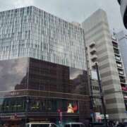 ヒメ日記 2025/09/14 11:00 投稿 久野 あやか RANUNCULUS(ラナンキュラス)