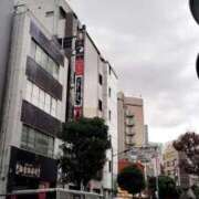 ヒメ日記 2026/01/09 14:55 投稿 久野 あやか RANUNCULUS(ラナンキュラス)