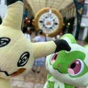 ヒメ日記 2025/05/24 12:55 投稿 海野 なぎさ RANUNCULUS(ラナンキュラス)