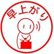 ヒメ日記 2025/05/28 05:55 投稿 海野 なぎさ RANUNCULUS(ラナンキュラス)