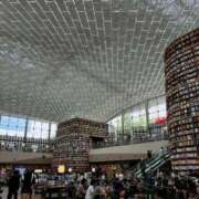 ヒメ日記 2025/05/30 20:35 投稿 海野 なぎさ RANUNCULUS(ラナンキュラス)