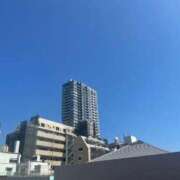 ヒメ日記 2025/06/17 14:45 投稿 海野 なぎさ RANUNCULUS(ラナンキュラス)