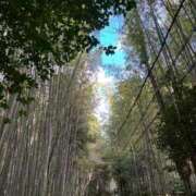 ヒメ日記 2025/06/27 06:15 投稿 海野 なぎさ RANUNCULUS(ラナンキュラス)