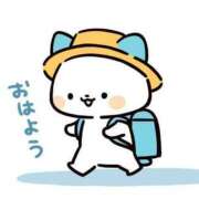 ヒメ日記 2025/08/08 14:05 投稿 海野 なぎさ RANUNCULUS(ラナンキュラス)