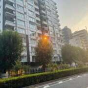 ヒメ日記 2025/08/23 06:35 投稿 海野 なぎさ RANUNCULUS(ラナンキュラス)