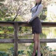 ヒメ日記 2025/11/20 02:15 投稿 海野 なぎさ RANUNCULUS(ラナンキュラス)