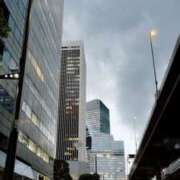 ヒメ日記 2025/08/08 18:55 投稿 有村 なつき RANUNCULUS(ラナンキュラス)