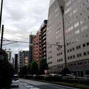 ヒメ日記 2025/10/16 10:59 投稿 有村 なつき RANUNCULUS(ラナンキュラス)