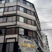 ヒメ日記 2026/01/10 14:55 投稿 有村 なつき RANUNCULUS(ラナンキュラス)