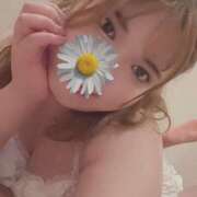 ヒメ日記 2025/10/16 15:32 投稿 ふうり 横浜パフパフチェリーパイ