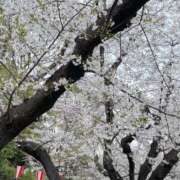 ヒメ日記 2025/04/09 10:03 投稿 上原める AJ DOLLS(エージェイドールズ)