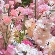 ヒメ日記 2025/04/12 08:02 投稿 いおり シャロン横浜