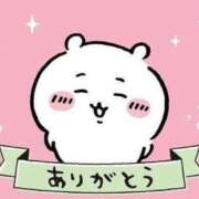 えりか H様 横浜人妻ヒットパレード（シンデレラグループ）