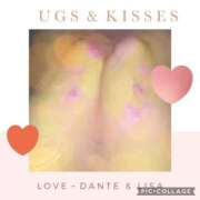 ヒメ日記 2026/03/06 02:38 投稿 岡江くみの お姉さんLABO -艶-