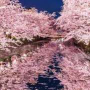 ヒメ日記 2026/03/27 01:08 投稿 岡江くみの お姉さんLABO -艶-