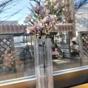 ヒメ日記 2026/03/27 09:17 投稿 岡江くみの お姉さんLABO -艶-