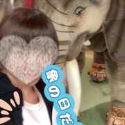 ヒメ日記 2026/04/28 07:18 投稿 岡江くみの お姉さんLABO -艶-