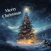 ヒメ日記 2024/12/25 22:33 投稿 きょうか 池袋人妻城