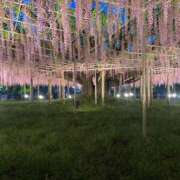 ヒメ日記 2025/05/03 22:18 投稿 きょうか 池袋人妻城