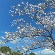 ヒメ日記 2025/04/02 16:35 投稿 あお 宮崎ちゃんこ都城店