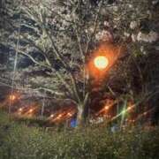 ヒメ日記 2025/04/06 21:55 投稿 あお 宮崎ちゃんこ都城店