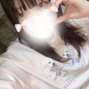 ヒメ日記 2025/03/08 18:19 投稿 ひかる ふわふわコレクション