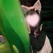 ヒメ日記 2025/04/21 20:31 投稿 ひかる ふわふわコレクション