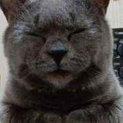 ヒメ日記 2025/03/28 04:41 投稿 りな 成田人妻花壇