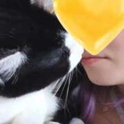 ヒメ日記 2025/04/08 08:01 投稿 りな 成田人妻花壇