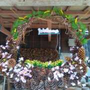 ヒメ日記 2025/04/13 23:57 投稿 りな 成田人妻花壇