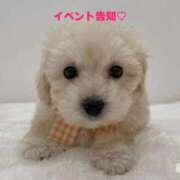 ヒメ日記 2025/05/21 21:04 投稿 りな 成田人妻花壇