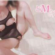 ヒメ日記 2024/12/29 11:37 投稿 あすな サティアンまーと