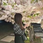 ヒメ日記 2025/05/29 12:51 投稿 マキ 千葉美女革命