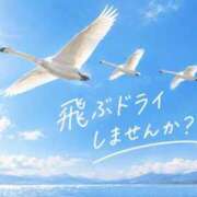 ヒメ日記 2026/10/08 12:12 投稿 おりびあ 変態なんでも鑑定団