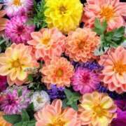 ヒメ日記 2025/02/13 08:56 投稿 恵麻(えま) 五十路エステハイブリッド(カサブランカグループ)