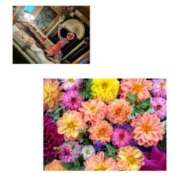 ヒメ日記 2025/03/06 11:04 投稿 恵麻(えま) 五十路エステハイブリッド(カサブランカグループ)