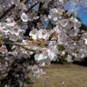 ヒメ日記 2025/04/06 17:00 投稿 恵麻(えま) 五十路エステハイブリッド(カサブランカグループ)