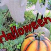 ヒメ日記 2025/10/31 10:10 投稿 恵麻(えま) 五十路エステハイブリッド(カサブランカグループ)