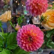 ヒメ日記 2024/12/18 23:12 投稿 折川詩音(おりかわしおん) 東京ヒストリー　秘密の約束