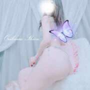 ヒメ日記 2025/01/14 22:52 投稿 折川詩音(おりかわしおん) 東京ヒストリー　秘密の約束