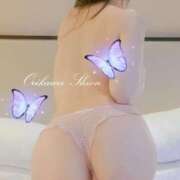 ヒメ日記 2025/04/16 13:39 投稿 折川詩音(おりかわしおん) 東京ヒストリー　秘密の約束